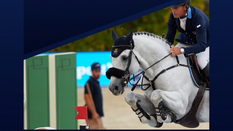 Présentation d'étalons au Haras de Talma